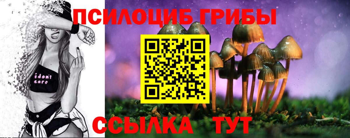 Удомля  Псилоцибиновые грибы Cubensis  Вход с VPN  Псилоцибиновые грибы Psilocybe 